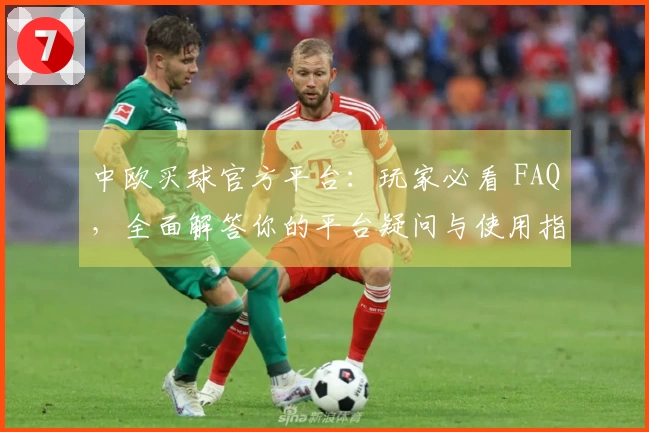 中欧买球官方平台：玩家必看 FAQ，全面解答你的平台疑问与使用指南