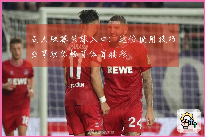五大联赛买球入口:这份使用技巧分享助你畅享体育精彩