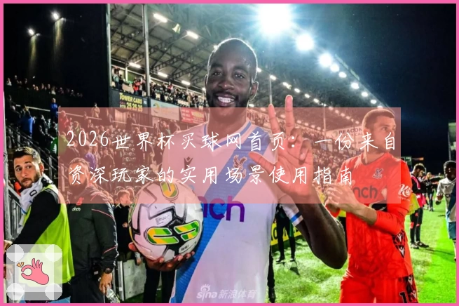 2026世界杯买球网首页:一份来自资深玩家的实用场景使用指南