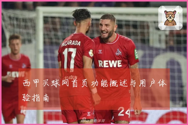 西甲买球网首页功能概述与用户体验指南