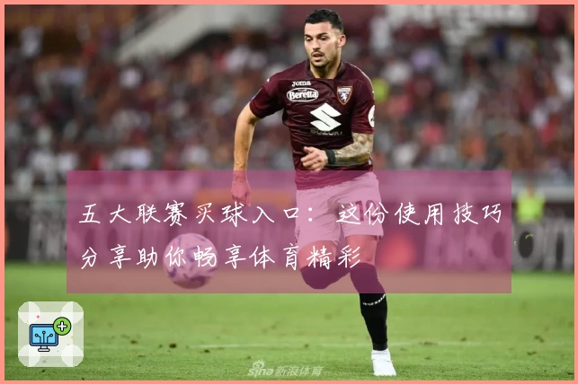 五大联赛买球入口：这份使用技巧分享助你畅享体育精彩