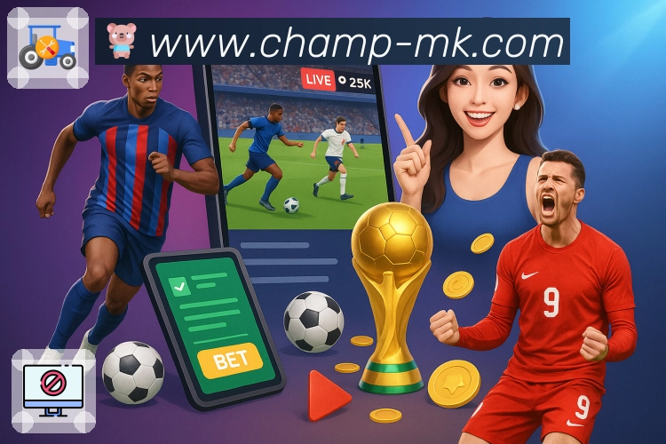 内容体系认证展示